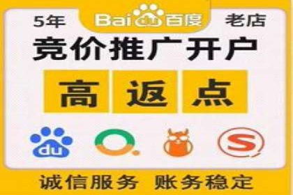 SEM推广竞价案例：品牌知名度提升之道